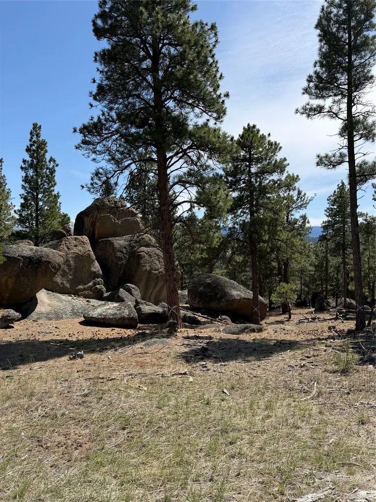 15 Old Abe Road Clancy MT 59634