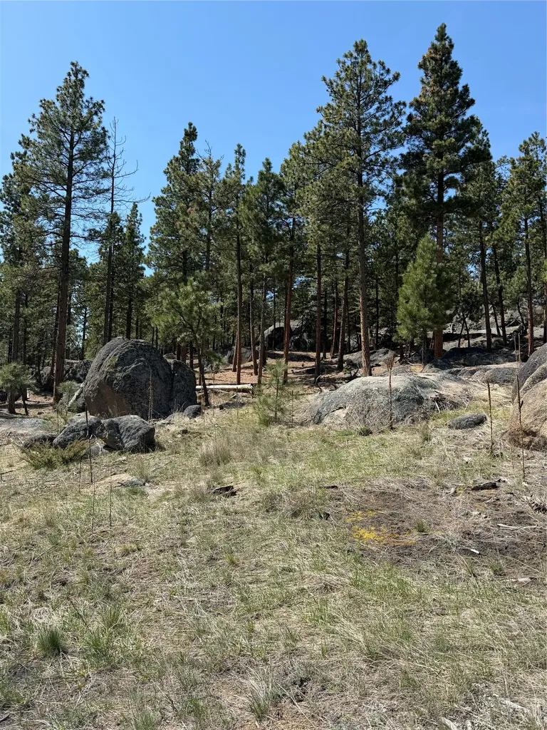 15 Old Abe Road Clancy MT 59634