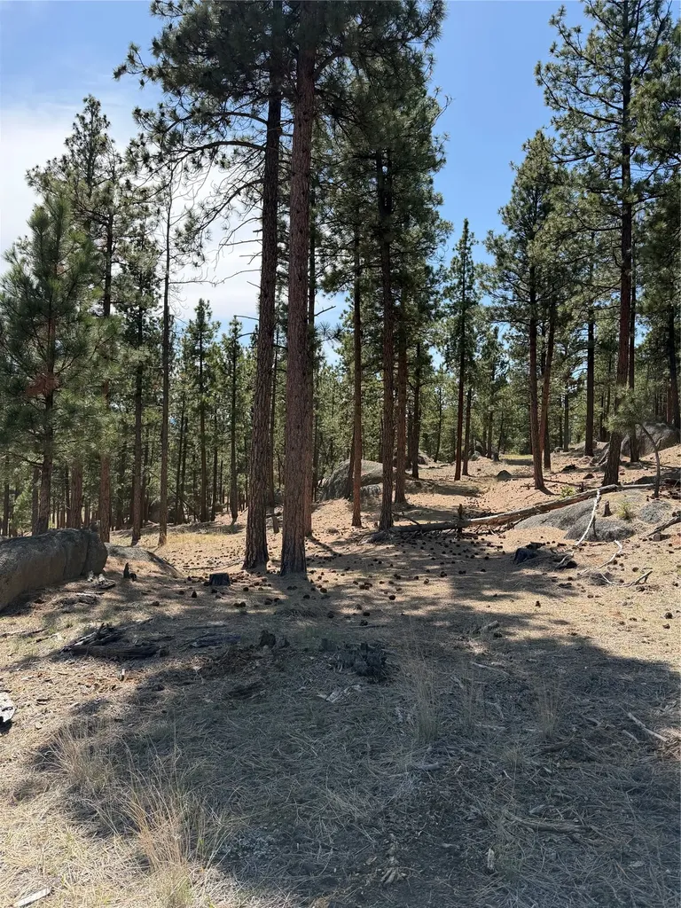 15 Old Abe Road Clancy MT 59634
