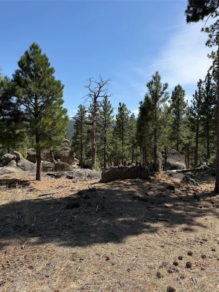 15 Old Abe Road Clancy MT 59634