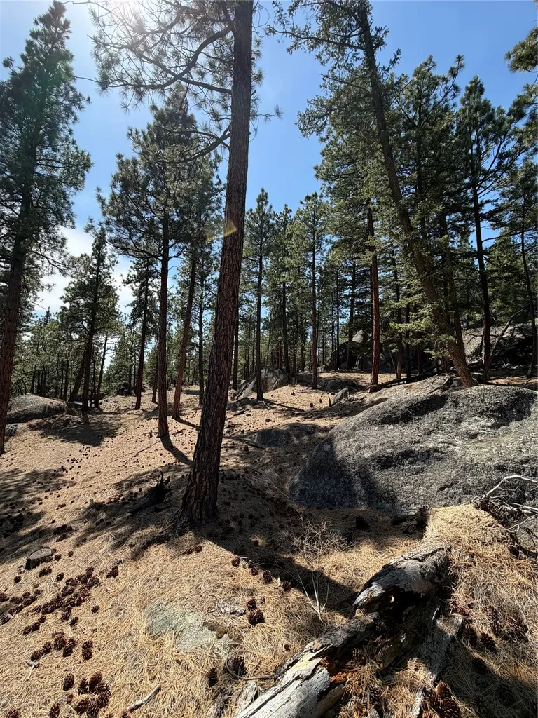 15 Old Abe Road Clancy MT 59634