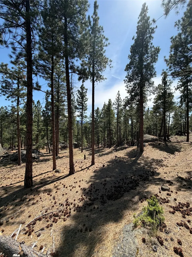 15 Old Abe Road Clancy MT 59634