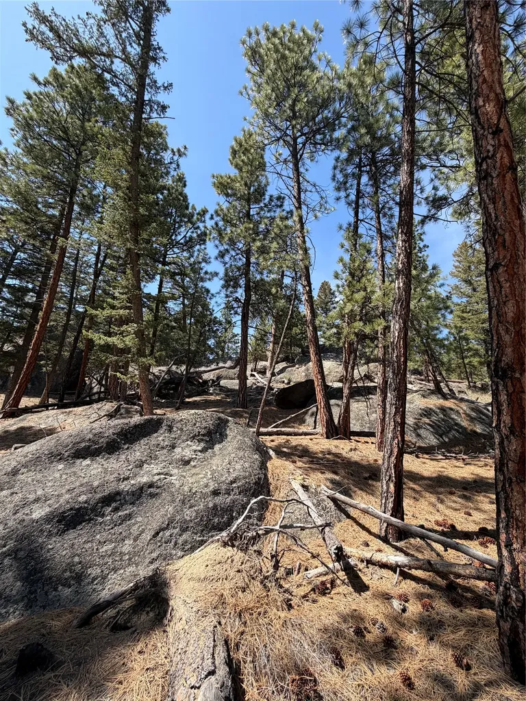 15 Old Abe Road Clancy MT 59634