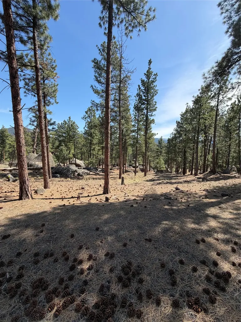 15 Old Abe Road Clancy MT 59634
