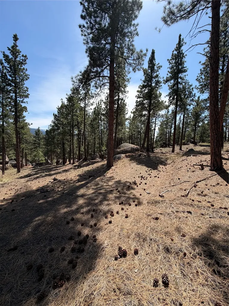 15 Old Abe Road Clancy MT 59634