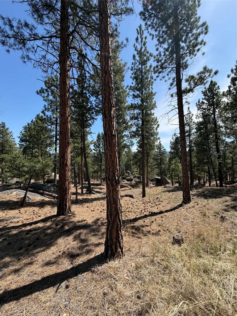 15 Old Abe Road Clancy MT 59634