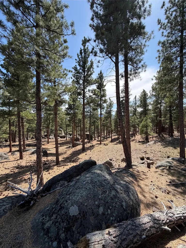 15 Old Abe Road Clancy MT 59634