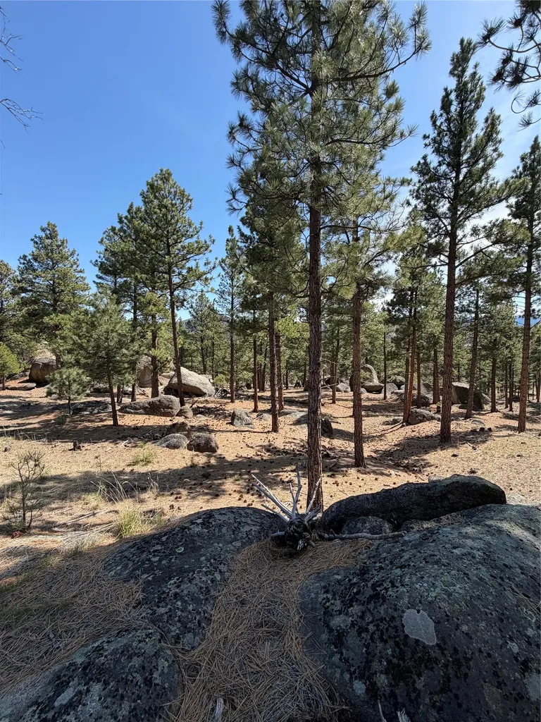 15 Old Abe Road Clancy MT 59634