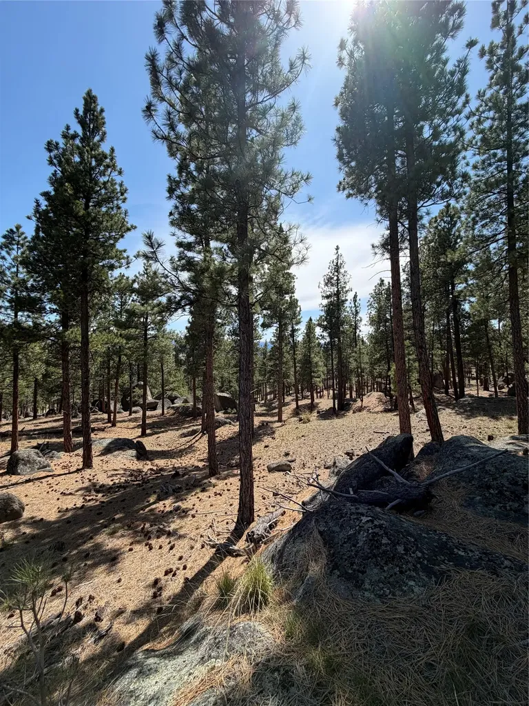 15 Old Abe Road Clancy MT 59634