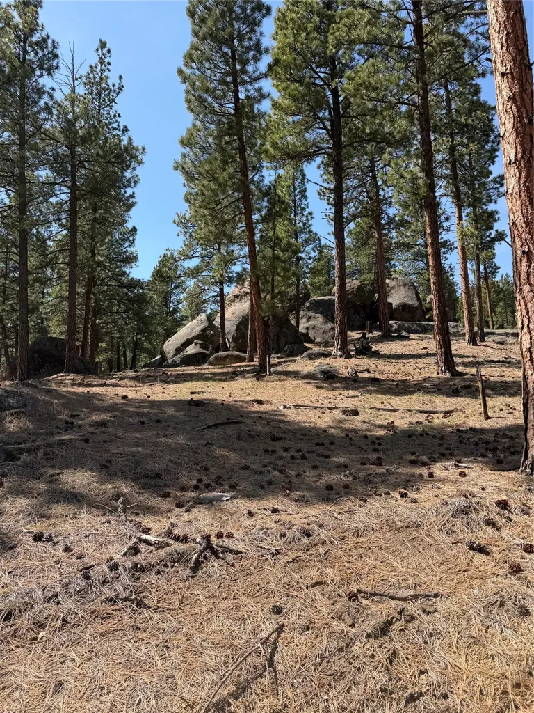 15 Old Abe Road Clancy MT 59634
