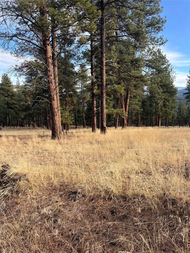 15 Old Abe Road Clancy MT 59634