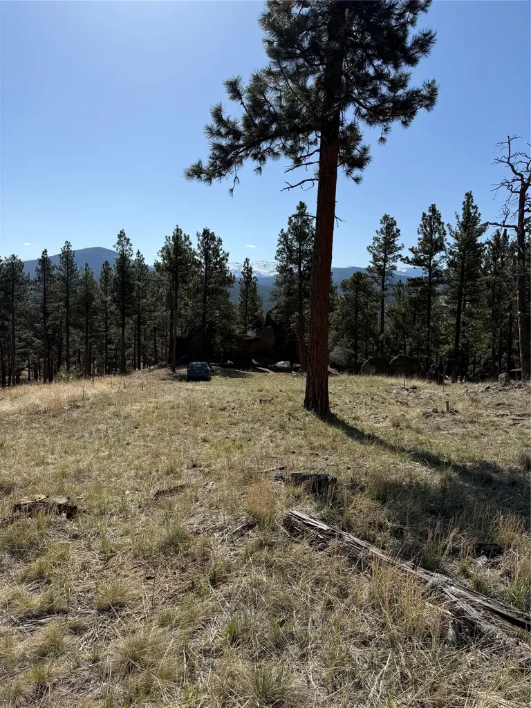 15 Old Abe Road Clancy MT 59634