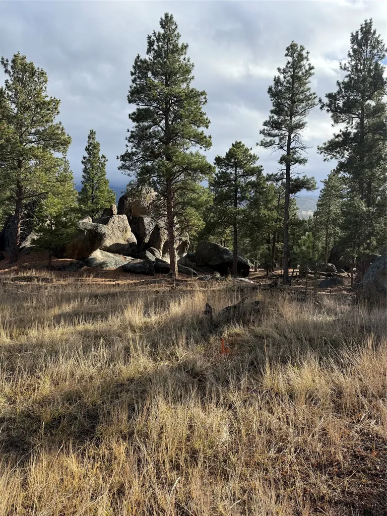 15 Old Abe Road Clancy MT 59634