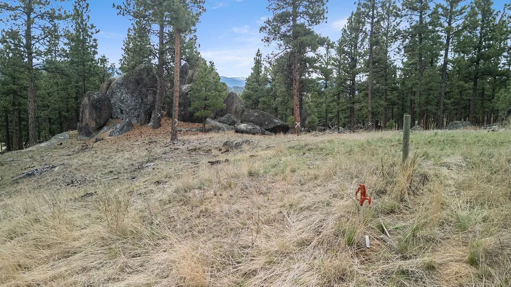 15 Old Abe Road Clancy MT 59634