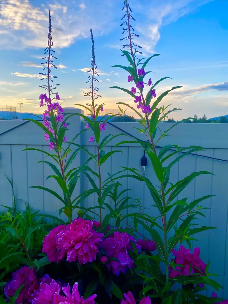 521 Evening Star Lane Columbia Falls MT 59912