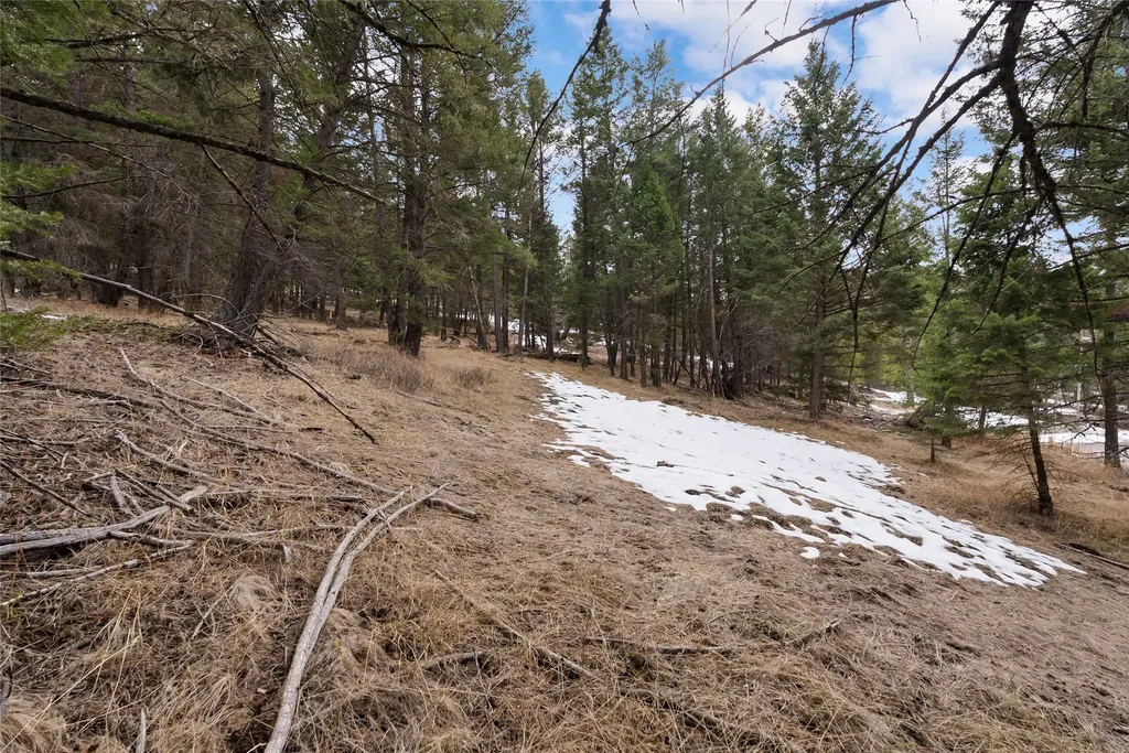 200 Walking Coyote Drive Kalispell MT 59901