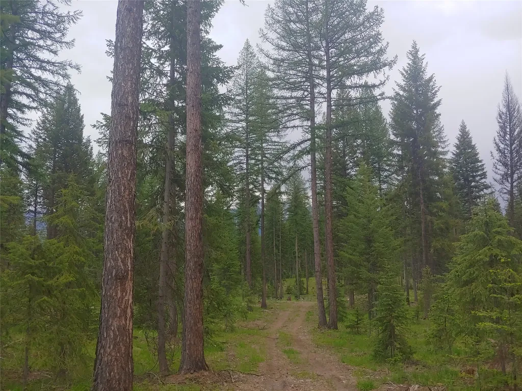 Nhn Off Styler Drive Condon MT 59826