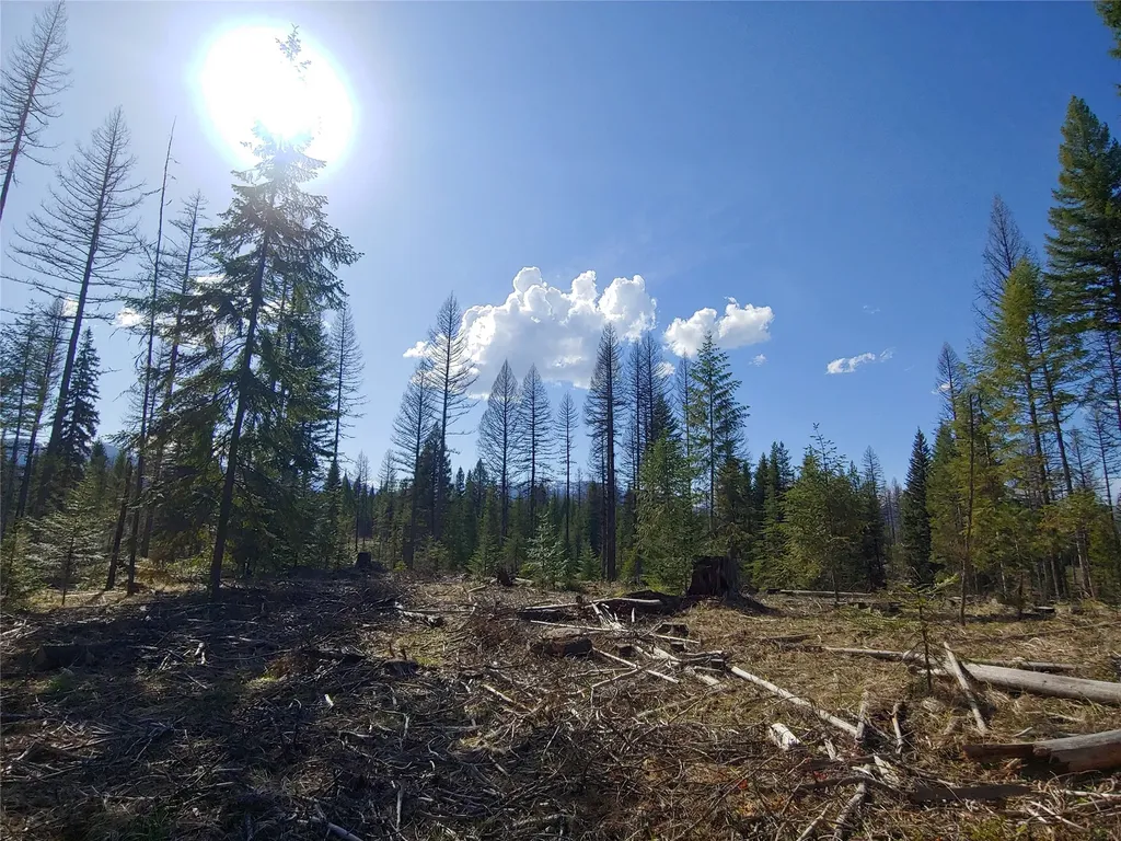 Nhn Off Styler Drive Condon MT 59826