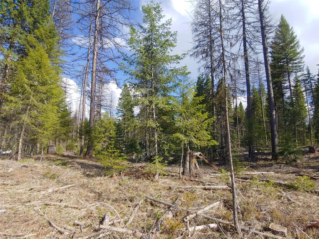 Nhn Off Styler Drive Condon MT 59826