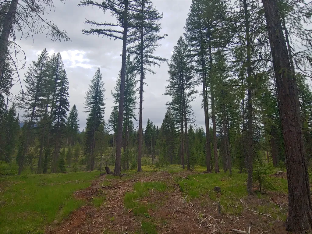 Nhn Off Styler Drive Condon MT 59826