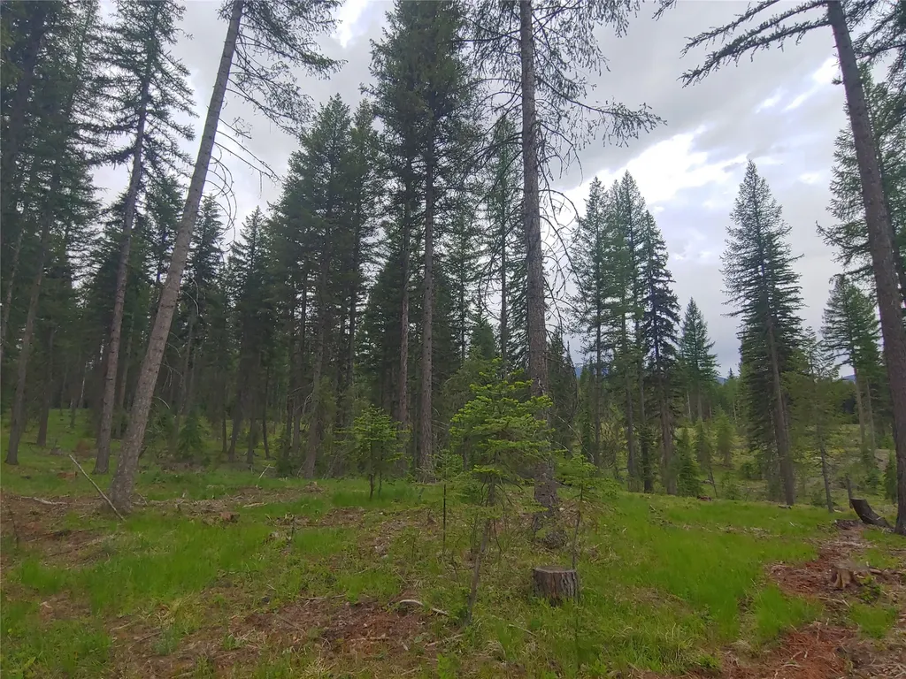 Nhn Off Styler Drive Condon MT 59826