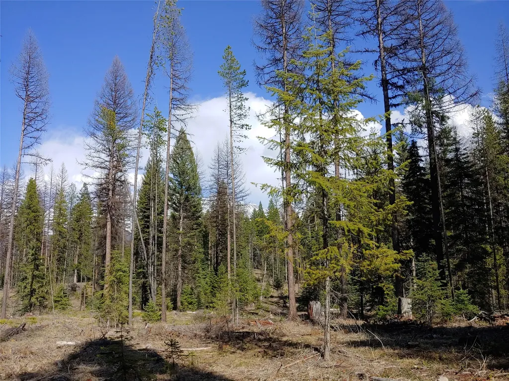Nhn Off Styler Drive Condon MT 59826