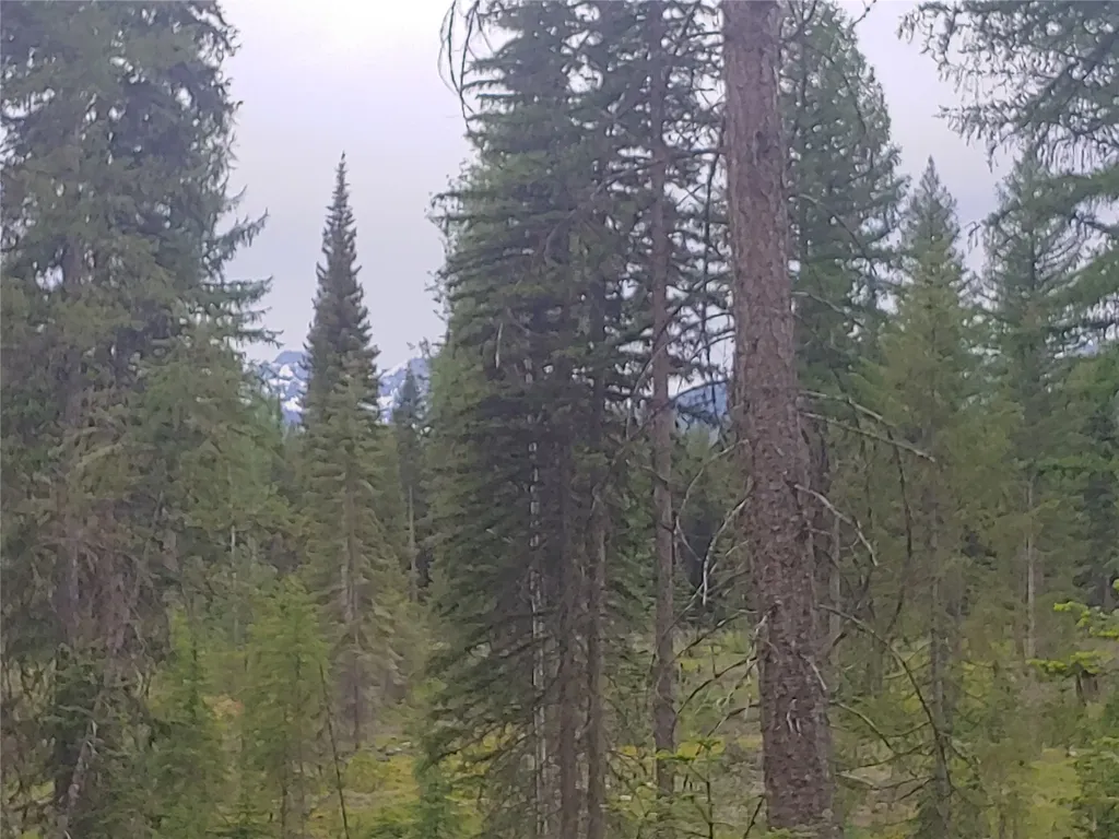 Nhn Off Styler Drive Condon MT 59826