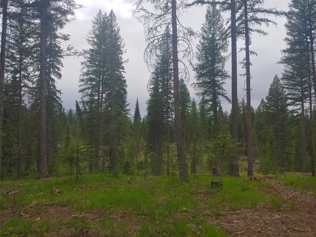 Nhn Off Styler Drive Condon MT 59826