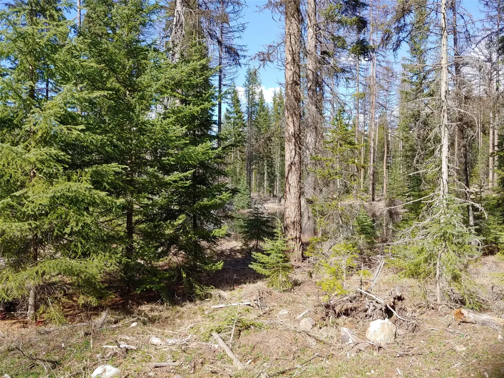 Nhn Off Styler Drive Condon MT 59826
