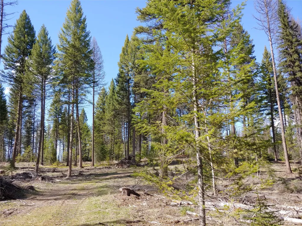 Nhn Off Styler Drive Condon MT 59826