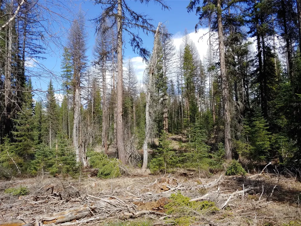 Nhn Off Styler Drive Condon MT 59826