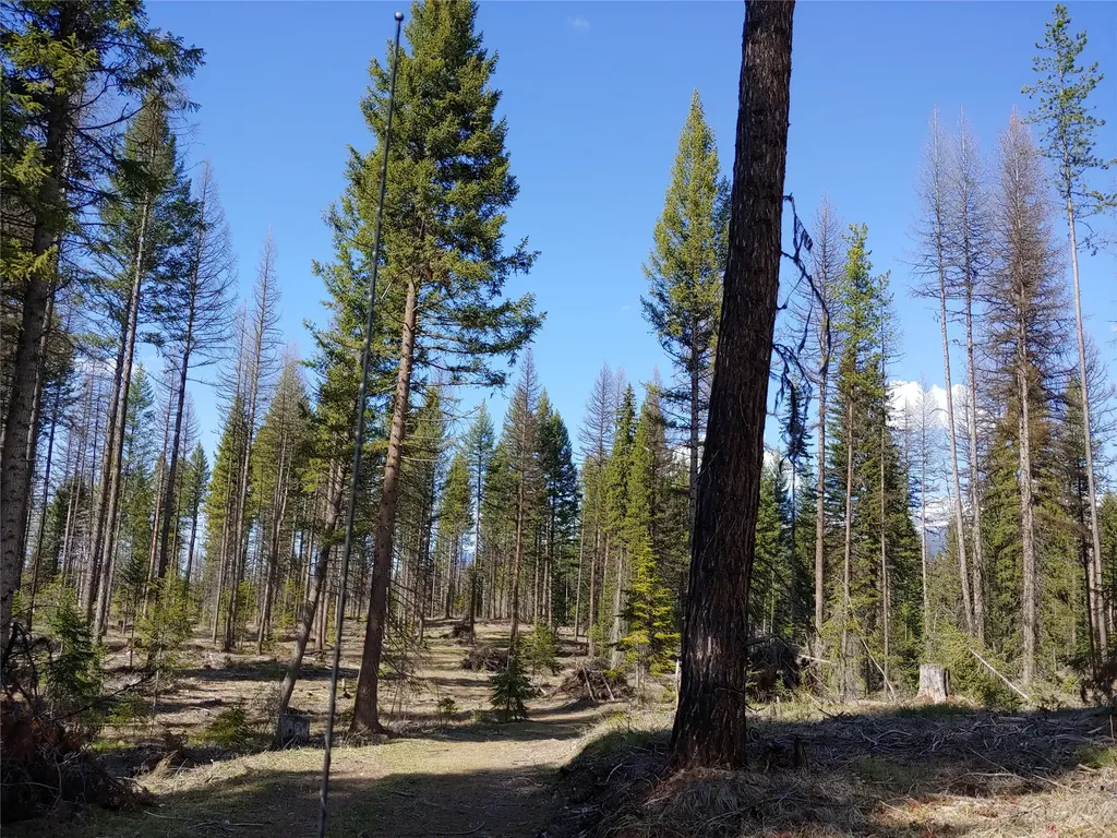 Nhn Off Styler Drive Condon MT 59826