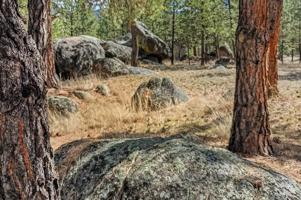 2850 Baxendale Drive Helena MT 59601