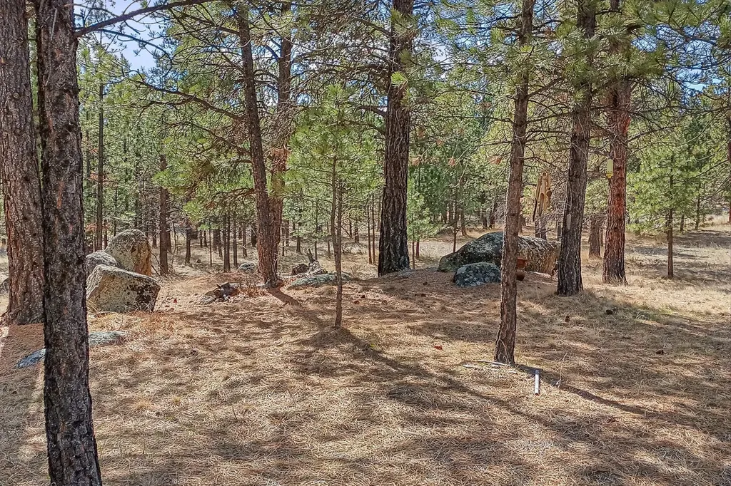 2850 Baxendale Drive Helena MT 59601