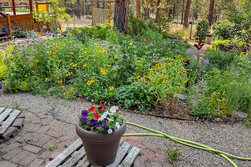 2850 Baxendale Drive Helena MT 59601
