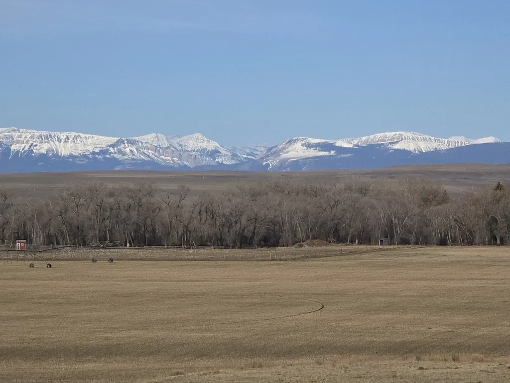 25 Tumbleweed Lane Choteau MT 59422