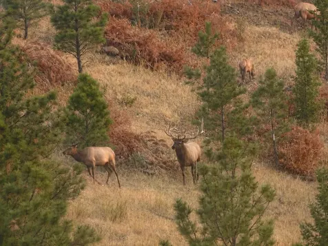 4915 W Us Highway 12 Helena MT 59601