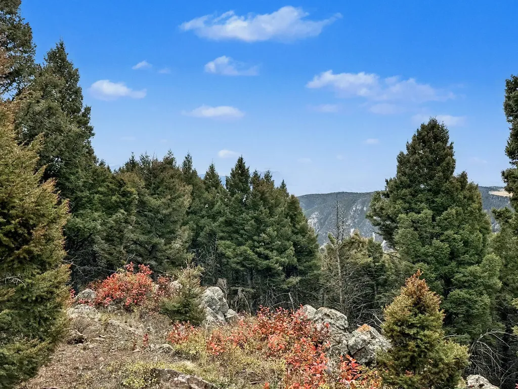 30 Bunks Trail Ennis MT 59729