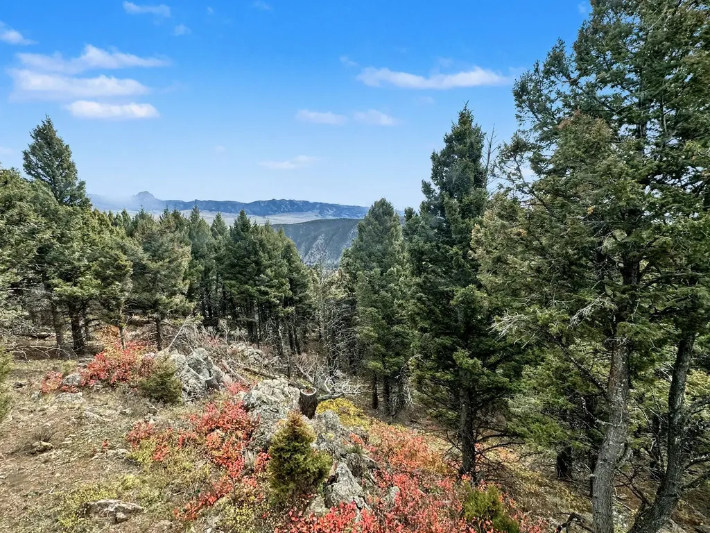 30 Bunks Trail Ennis MT 59729