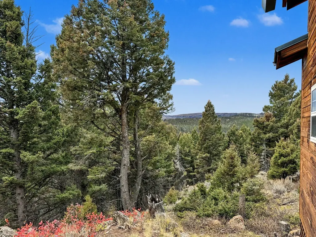 30 Bunks Trail Ennis MT 59729