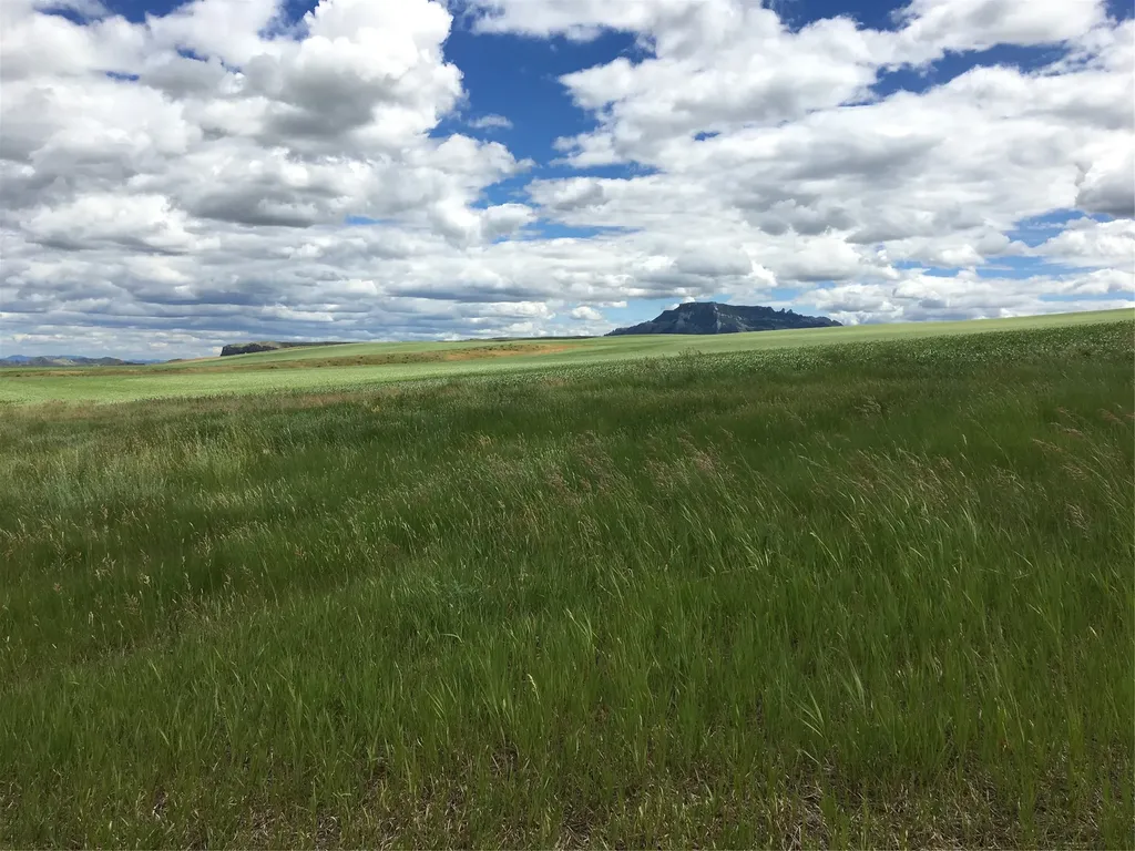 Ukn Flat Creek Road Geraldine MT 59446