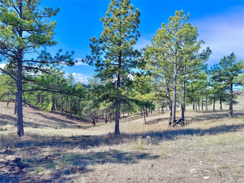 3575 Eagle Bay Drive Helena MT 59602