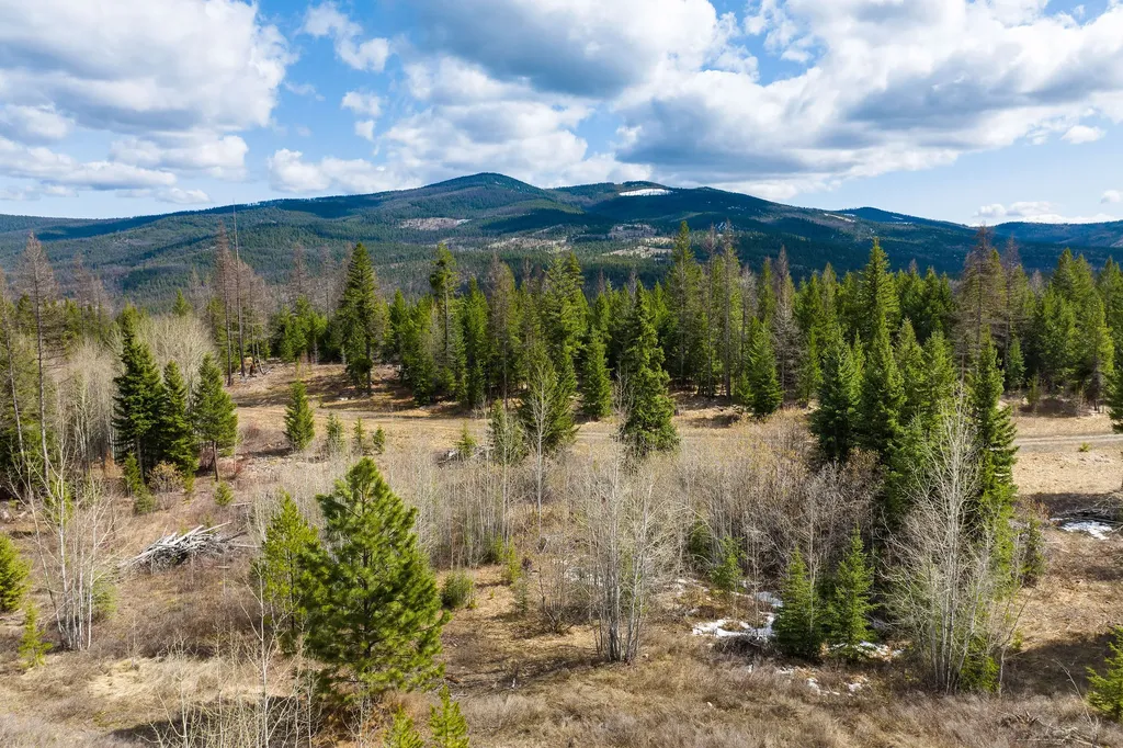 991 Haskill Ranch Road Kila MT 59920