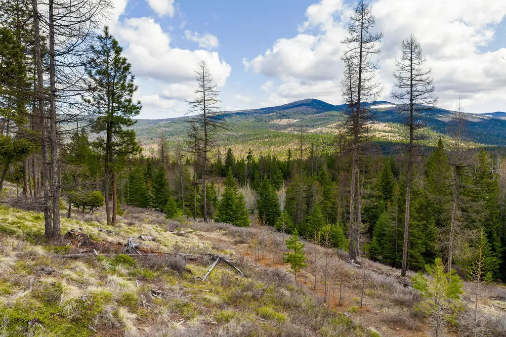 991 Haskill Ranch Road Kila MT 59920