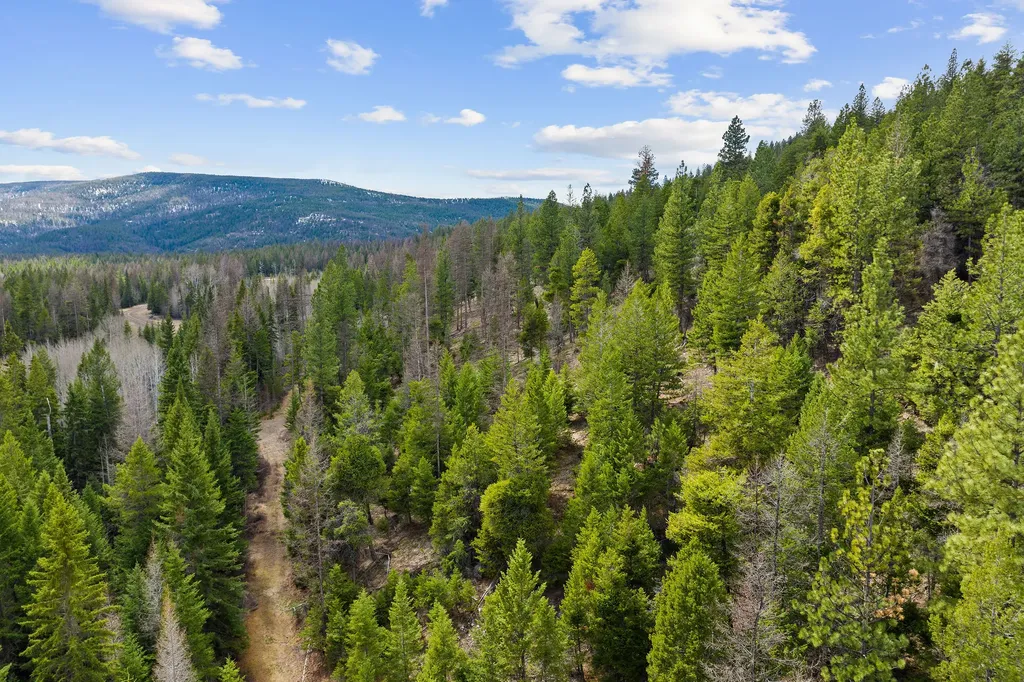 991 Haskill Ranch Road Kila MT 59920