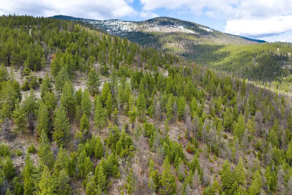 991 Haskill Ranch Road Kila MT 59920
