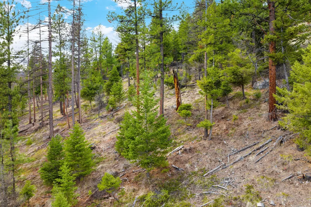 991 Haskill Ranch Road Kila MT 59920