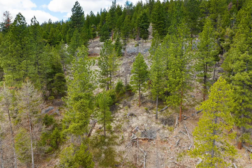 991 Haskill Ranch Road Kila MT 59920