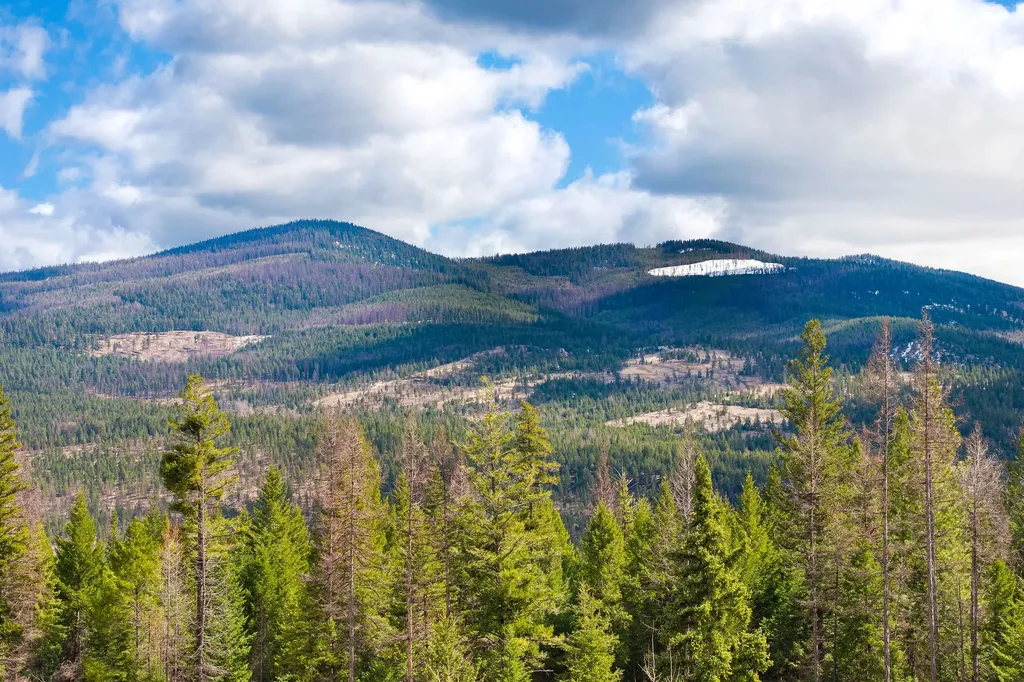 991 Haskill Ranch Road Kila MT 59920