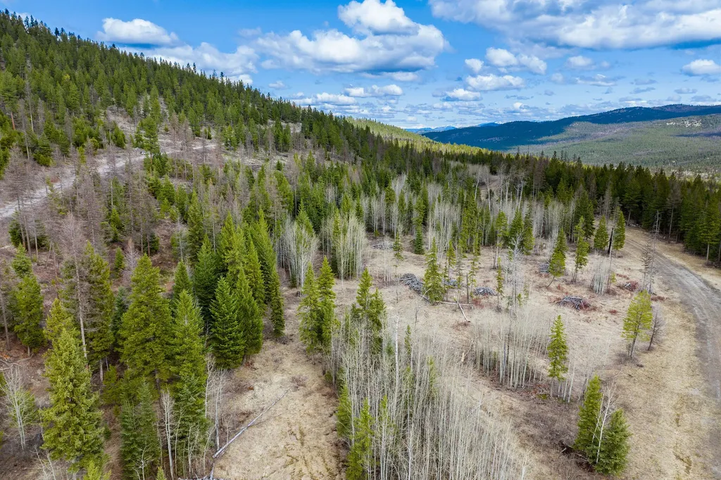 991 Haskill Ranch Road Kila MT 59920